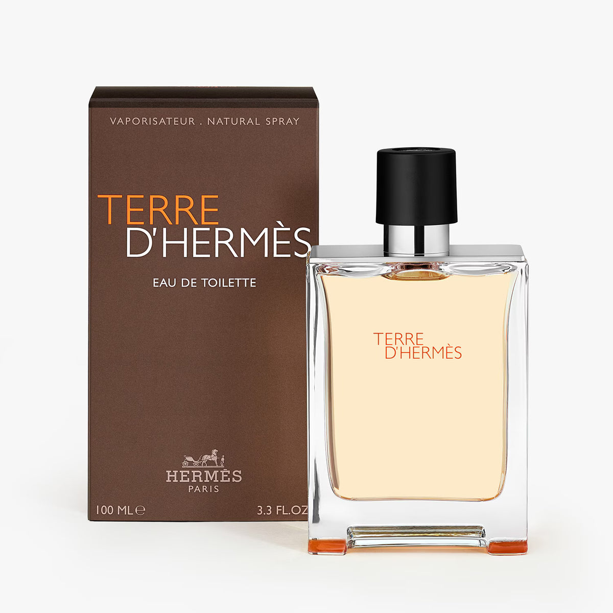 Hermès Terre d'Hermès - Eau de Toilette 100ML