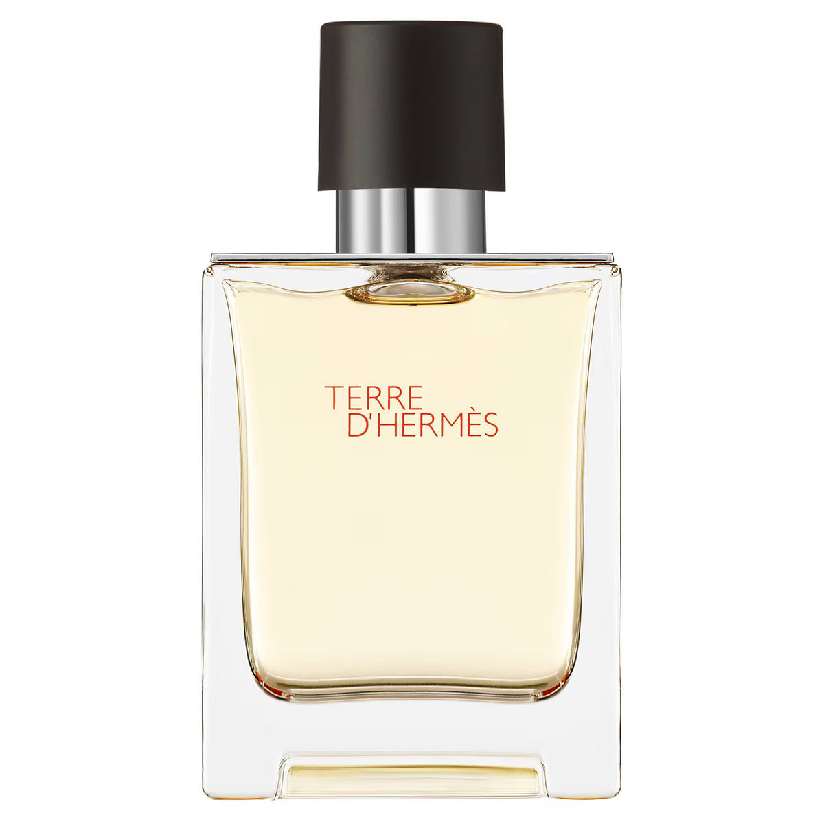 Hermès Terre d'Hermès - Eau de Toilette 100ML